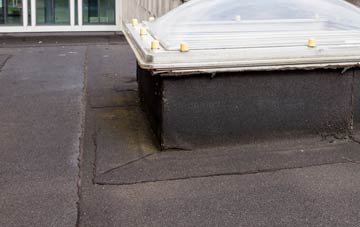 disadvantages of Waterloo Park flat roofs
