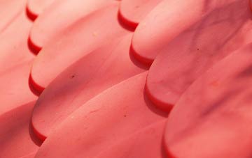 Waterloo Park plastic roof costs