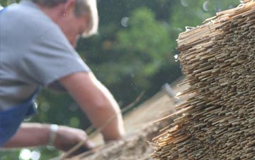 professional Waterloo Park thatchers