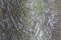 Waterloo Park fibreglass roof work