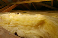 Waterloo Park pitch roof insulation